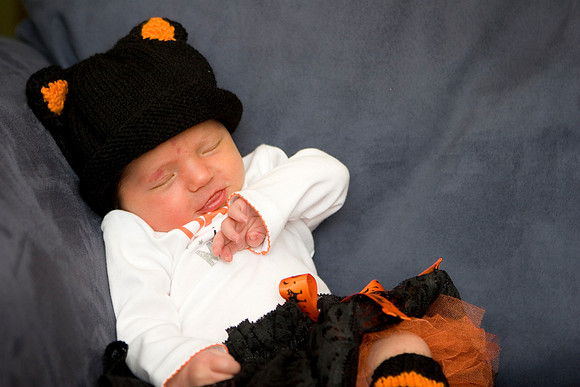 Feasterville Photographer