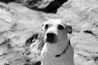 Lexie