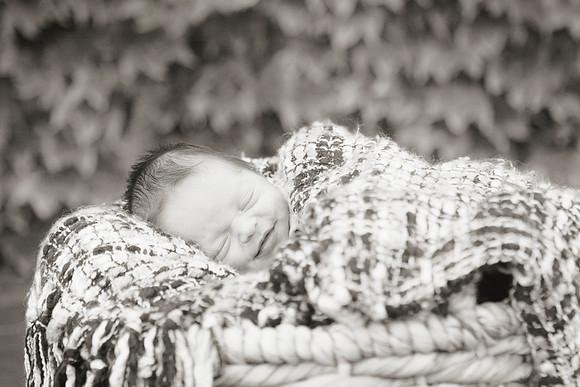 Bucks County Photographer