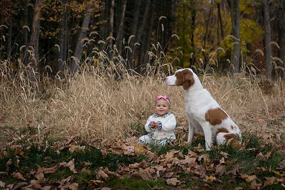 Elizabeth James Photography