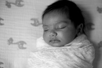 Baby L