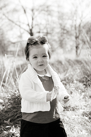Bucks County Photographer