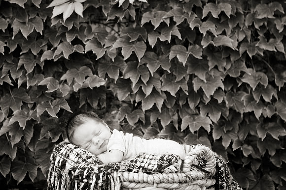 Bensalem Photographer